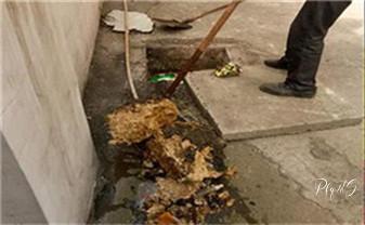 高压车疏通下水管道清理淤洗市政管道-专业吸抽化粪池淤泥污水池清掏-地漏马桶堵塞检测维修的公司电话_高压车吸抽清洗清掏清理清淤运输-市政化粪池-污水油池-淤泥-下水管道疏通--地漏马桶堵塞专业检测维修的公司电话 高压车疏通下水管道清理淤洗市政管道-专业吸抽化粪池淤泥污水池清掏-地漏马桶堵塞检测维修的公司电话_高压车吸抽清洗清掏清理清淤运输-市政化粪池-污水油池-淤泥-下水管道疏通--地漏马桶堵塞专业检测维修的公司电话